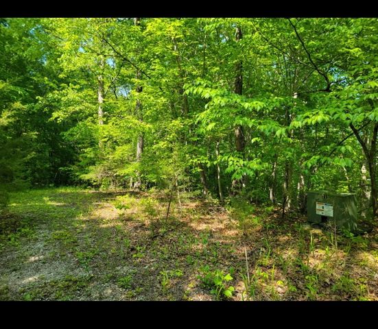 0 Shetland trace, Sparta, TN 38583