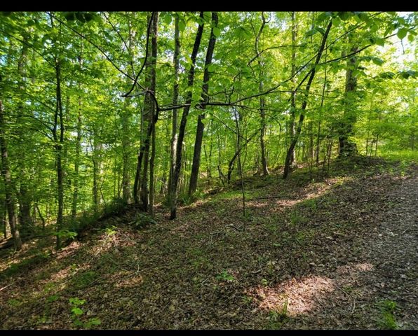 0 Shetland trace, Sparta, TN 38583