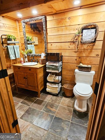 456 Bull Frog Lane, Clayton, GA 30525