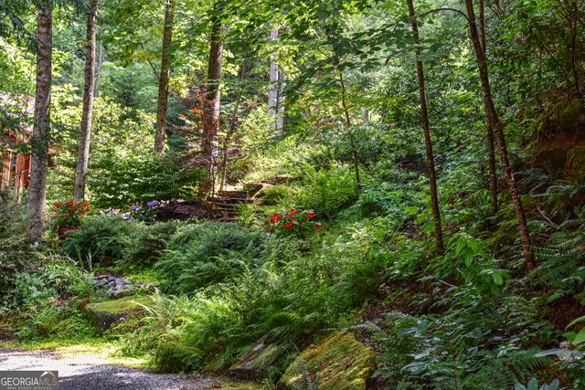 456 Bull Frog Lane, Clayton, GA 30525