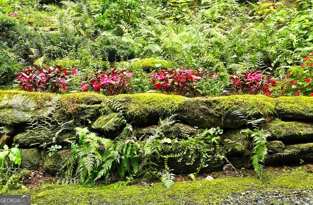 456 Bull Frog Lane, Clayton, GA 30525