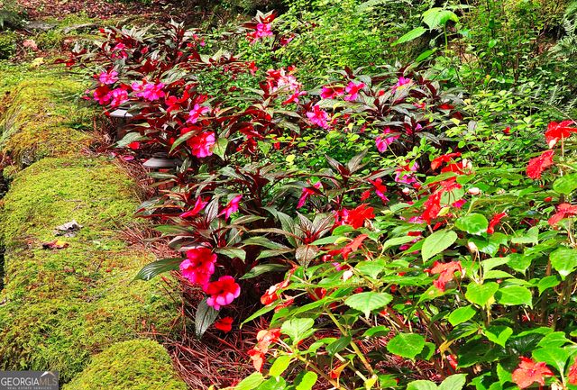 456 Bull Frog Lane, Clayton, GA 30525