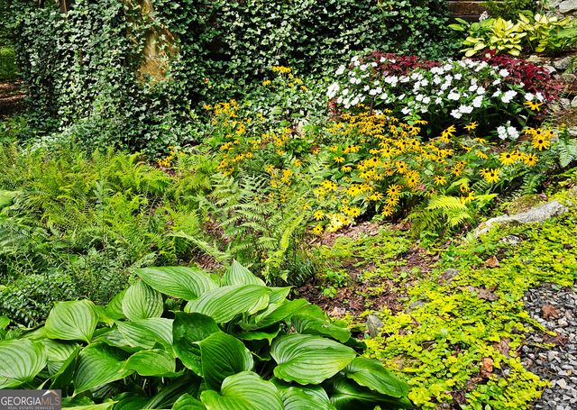 456 Bull Frog Lane, Clayton, GA 30525