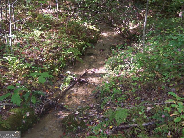 456 Bull Frog Lane, Clayton, GA 30525