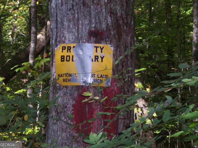 456 Bull Frog Lane, Clayton, GA 30525