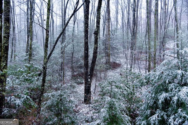 456 Bull Frog Lane, Clayton, GA 30525