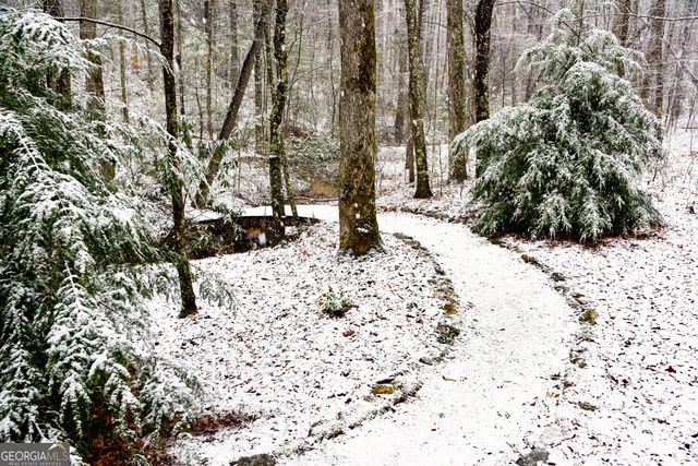 456 Bull Frog Lane, Clayton, GA 30525