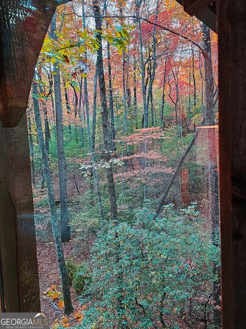 456 Bull Frog Lane, Clayton, GA 30525