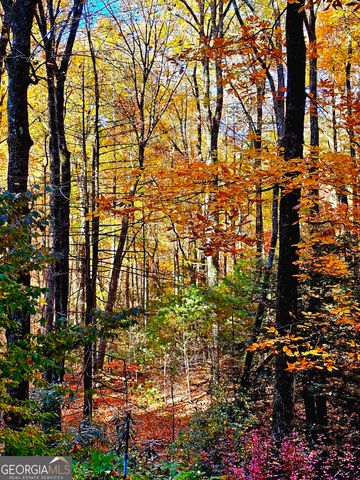 456 Bull Frog Lane, Clayton, GA 30525