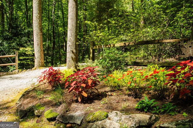 456 Bull Frog Lane, Clayton, GA 30525