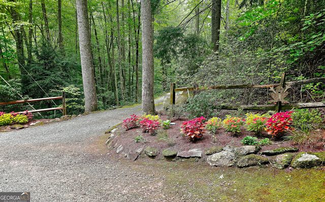 456 Bull Frog Lane, Clayton, GA 30525