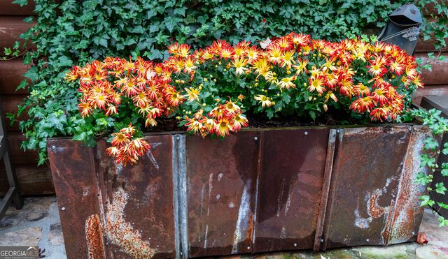 456 Bull Frog Lane, Clayton, GA 30525