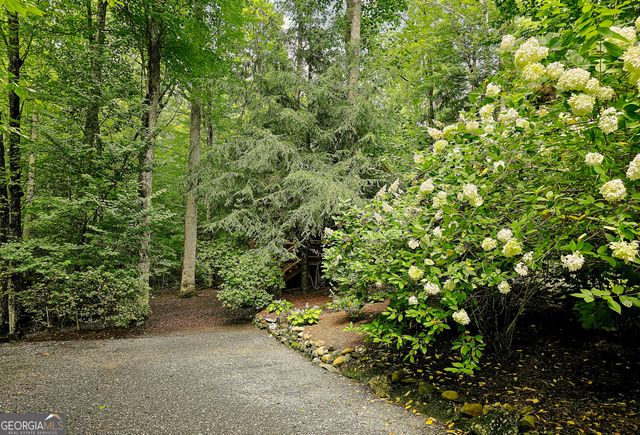 456 Bull Frog Lane, Clayton, GA 30525