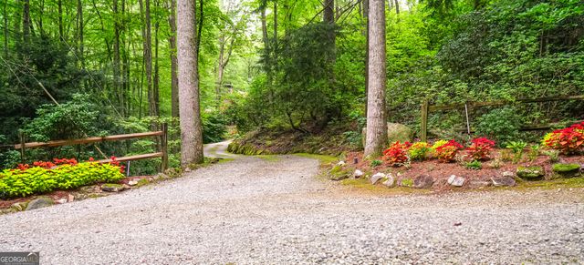 456 Bull Frog Lane, Clayton, GA 30525