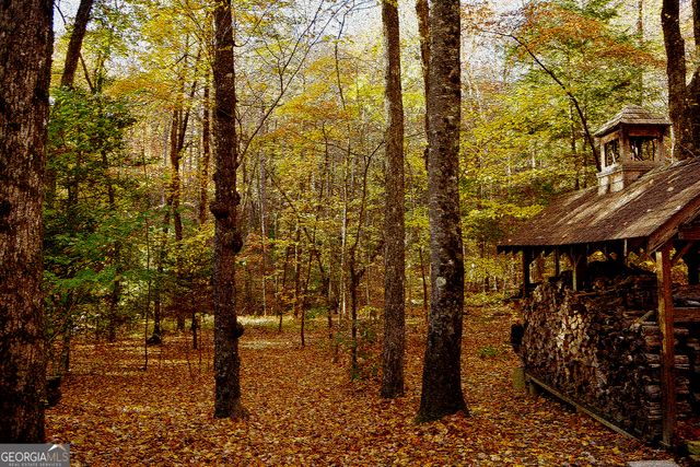 456 Bull Frog Lane, Clayton, GA 30525