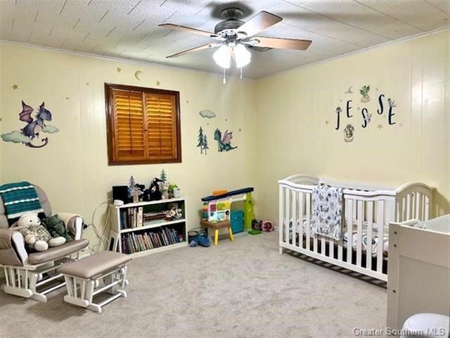 1010 Cecile Street, Jennings, LA 70546