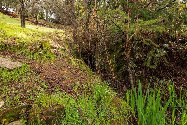 2823 Coloma St, Placerville, CA 95667
