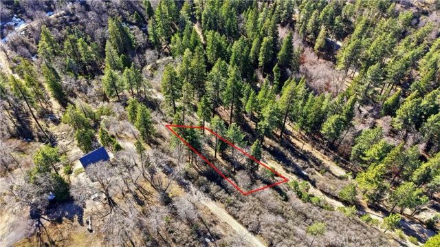 0 Elder, Cedar Glen, CA 92321