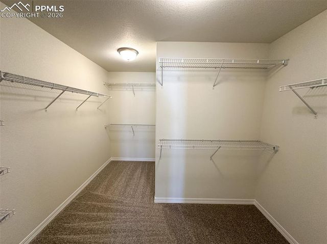 8259 Henzlee Place, Colorado Springs, CO 80831