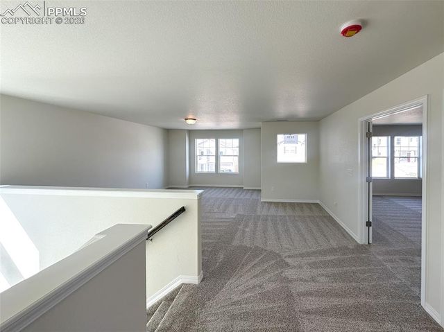 8259 Henzlee Place, Colorado Springs, CO 80831