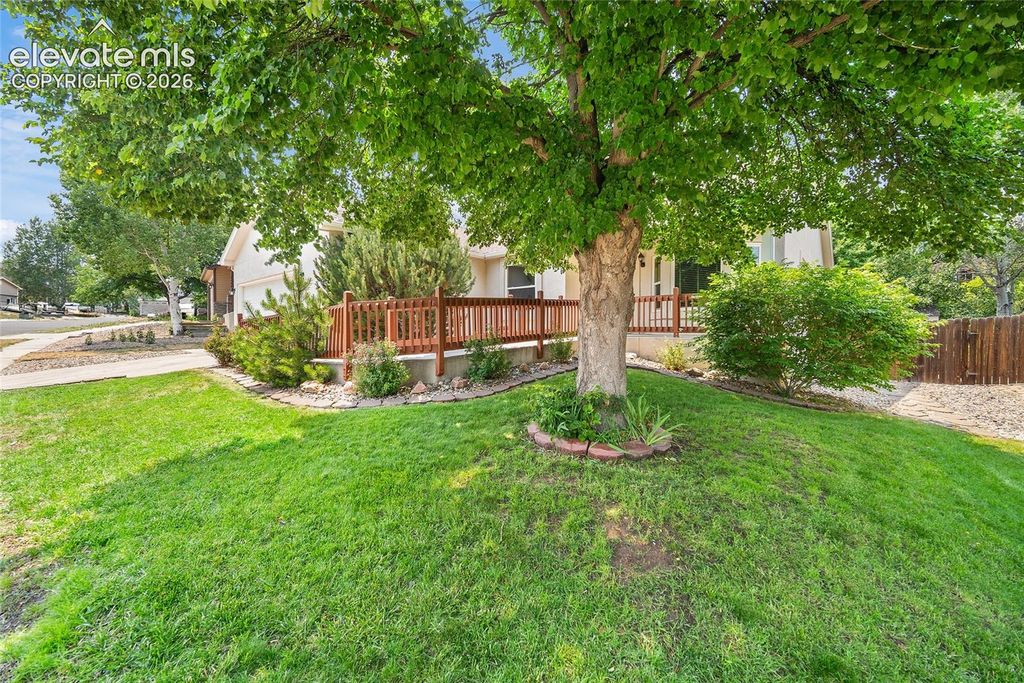 5970 Fescue Drive, Colorado Springs, CO 80923 — photo 4
