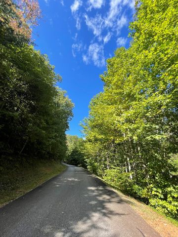 Lot 29C Indian Trail, Hayesville, NC 28904