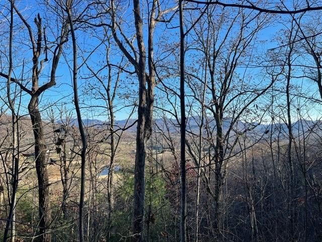 Lot 29C Indian Trail, Hayesville, NC 28904