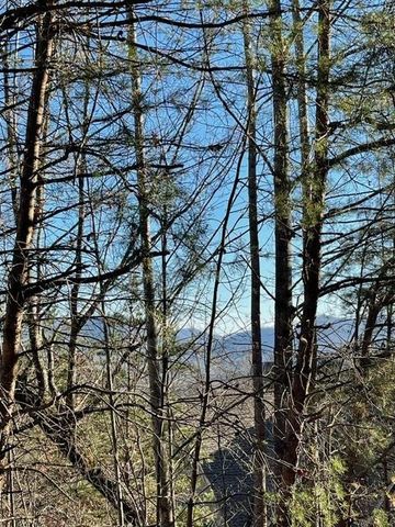 Lot 29C Indian Trail, Hayesville, NC 28904