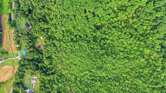965 Grassy Creek Road, Rogersville, TN 37857