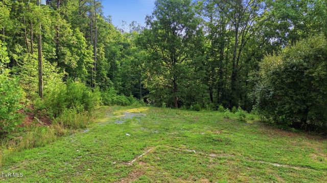 965 Grassy Creek Road, Rogersville, TN 37857