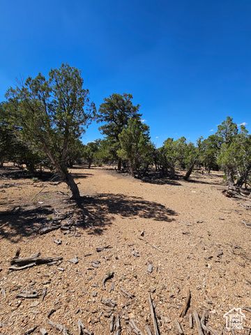 S 39300 W 58, Fruitland, UT 84027