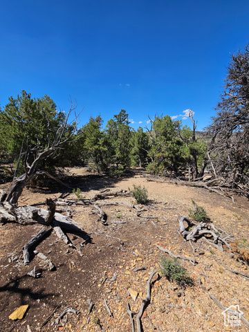 S 39300 W 58, Fruitland, UT 84027