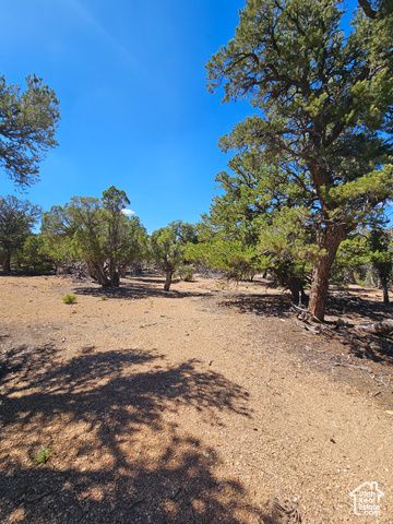 S 39300 W 58, Fruitland, UT 84027