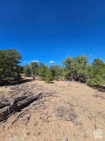 S 39300 W 58, Fruitland, UT 84027