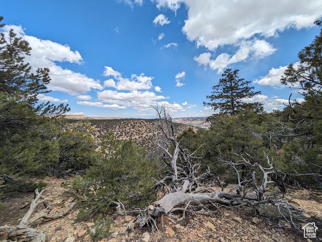 S 39300 W 58, Fruitland, UT 84027