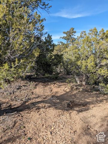 S 39300 W 58, Fruitland, UT 84027