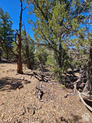 S 39300 W 58, Fruitland, UT 84027