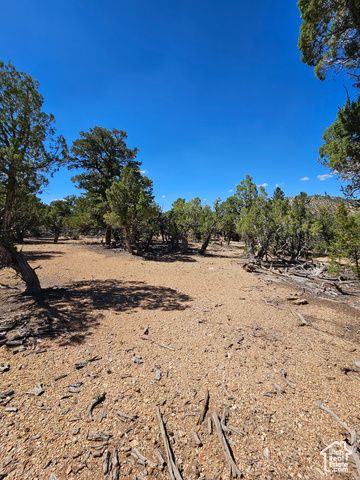 S 39300 W 58, Fruitland, UT 84027