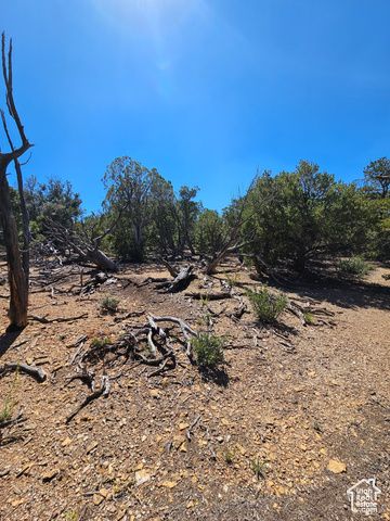 S 39300 W 58, Fruitland, UT 84027