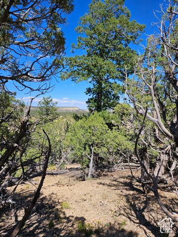 S 39300 W 58, Fruitland, UT 84027