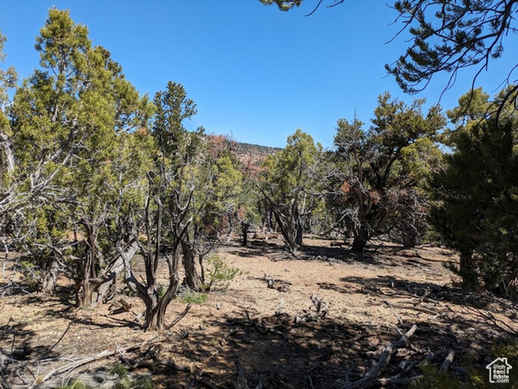 S 39300 W 58, Fruitland, UT 84027