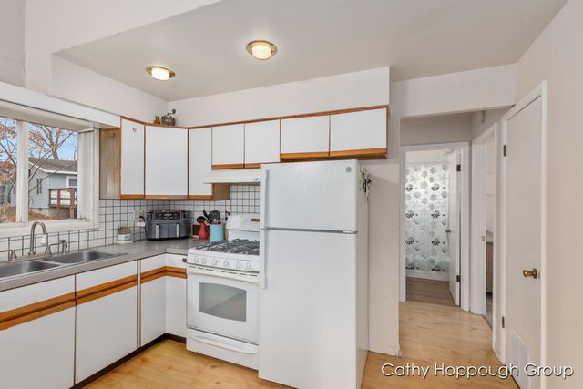 1401 White Birch Drive, Stanton, MI 48888