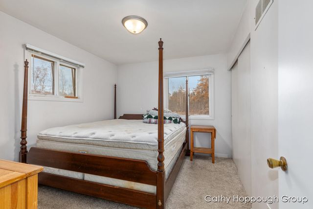 1401 White Birch Drive, Stanton, MI 48888