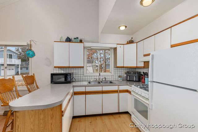 1401 White Birch Drive, Stanton, MI 48888