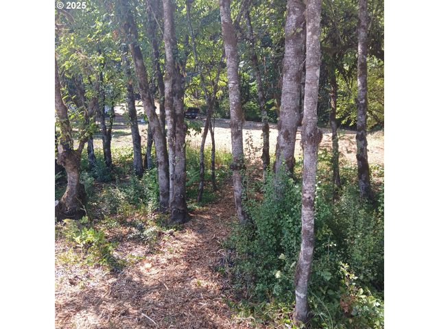 20055 Nw Pihl Rd, Banks, OR 97106