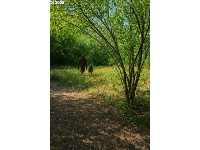 20055 Nw Pihl Rd, Banks, OR 97106