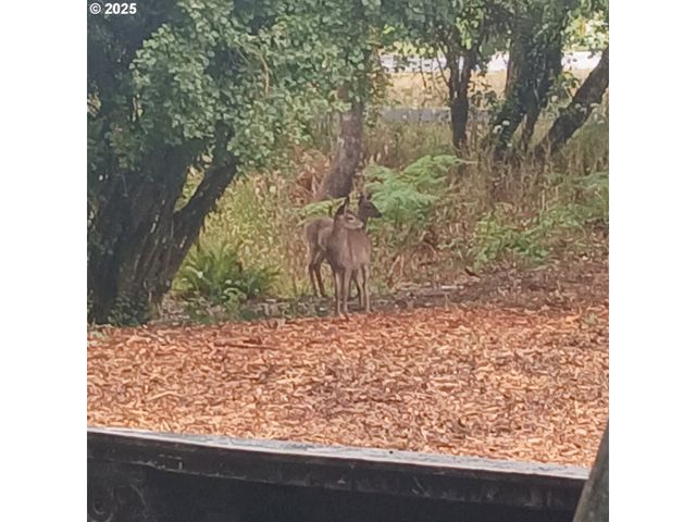 20055 Nw Pihl Rd, Banks, OR 97106