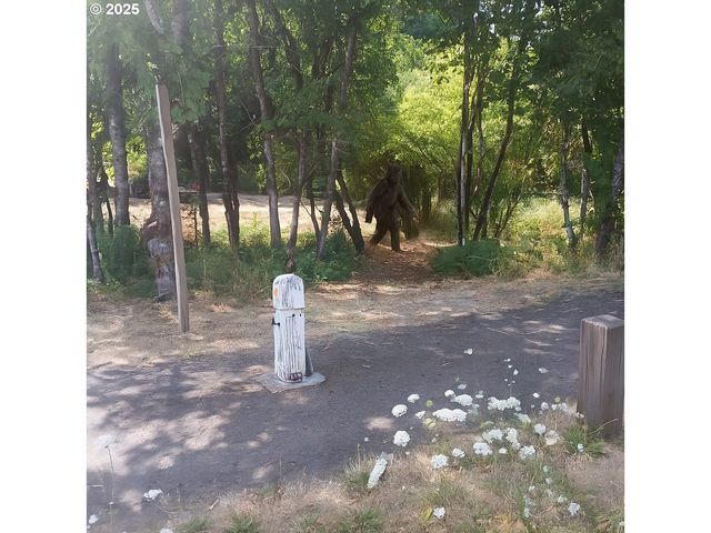 20055 Nw Pihl Rd, Banks, OR 97106