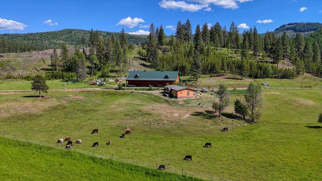 27120 E Blanchard Loop, Newport, WA 99156