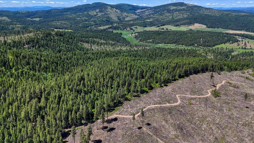 27120 E Blanchard Loop, Newport, WA 99156 photo 27